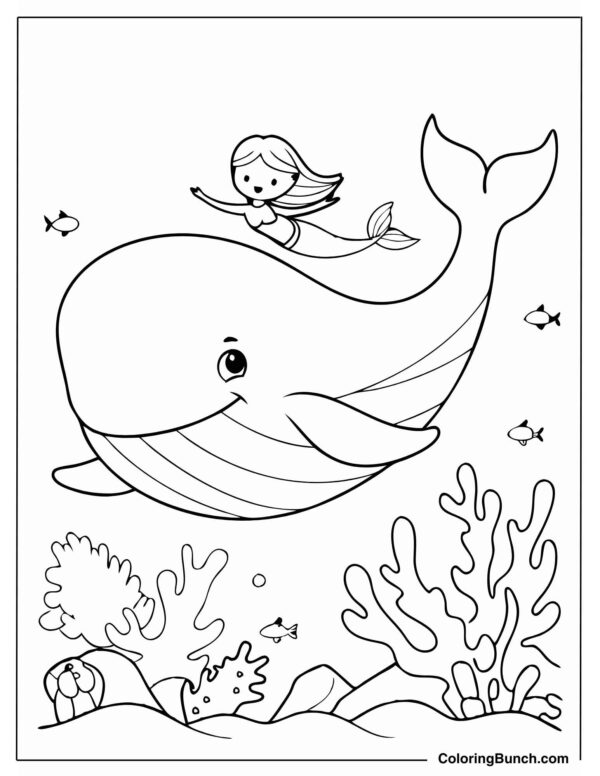 Sea Life Coloring Pages (Free PDF Printables)
